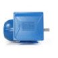 Motor Bifásico 5 Hp 4 Polos Brida "C" 14767926 WEG0049