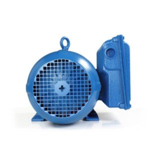 Motor Bifásico 5 Hp 4 Polos Brida "C" 14767926 WEG WEG0049