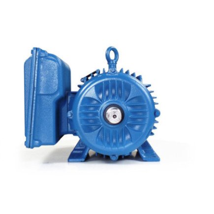 Motor Bifásico 3 Hp 4 Polos Uso General 14039137 WEG0041