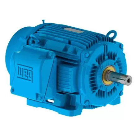 Motor Trifasico 20 Hp 4 Polos 12860558 WEG WEG0113