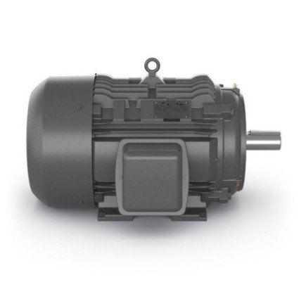 Motor Trifásico 20 Hp 4 polos Brida "C" Siemens Sie0139