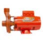 Bomba Centrífuga 1-1/4" x 1" 1 Hp 110 V Motor EVANS CALIFORNIA MACHINERY CALRB1KIT Bomba Centrífuga 1-1/4" x 1" 1 Hp 110 V Motor EVANS CALIFORNIA MACHINERY CALRB1KIT